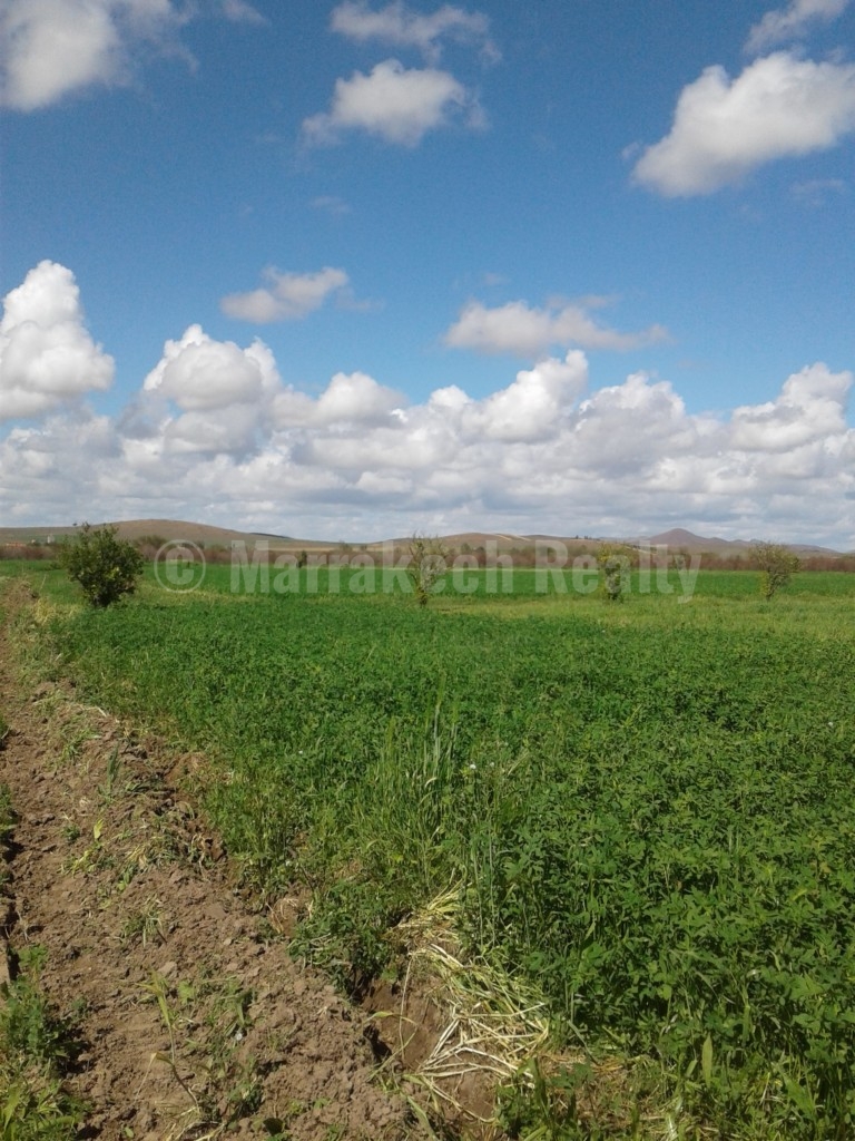 For sale 4 hectars land on the road of Fes