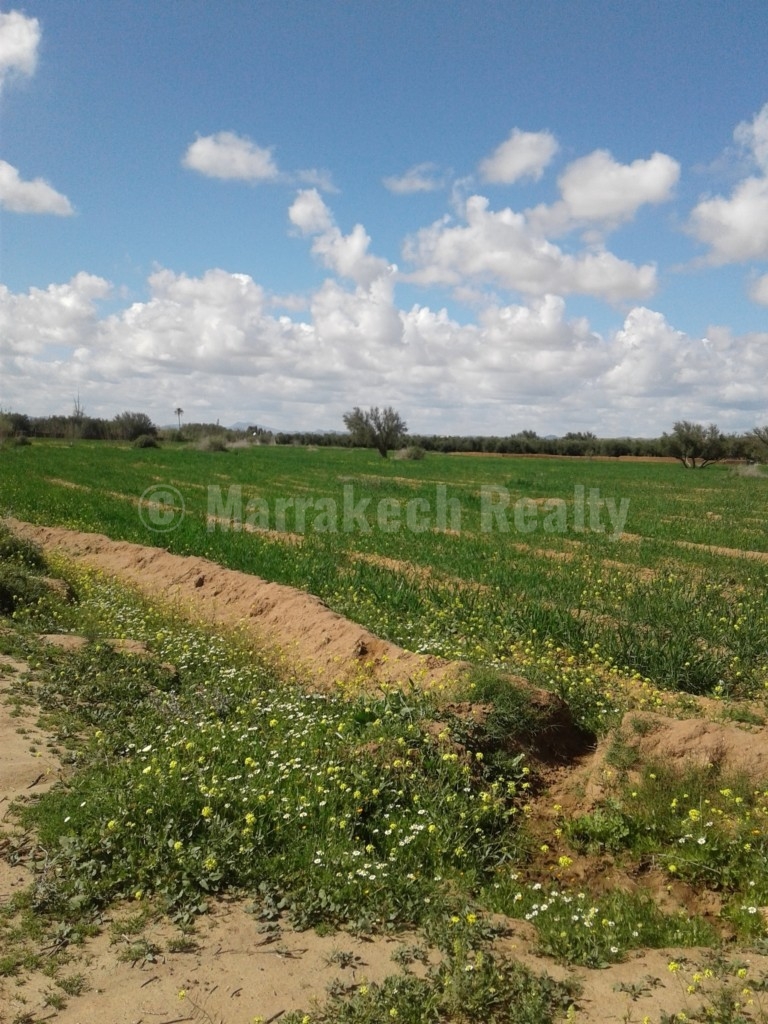 For sale 4 hectars land on the road of Fes