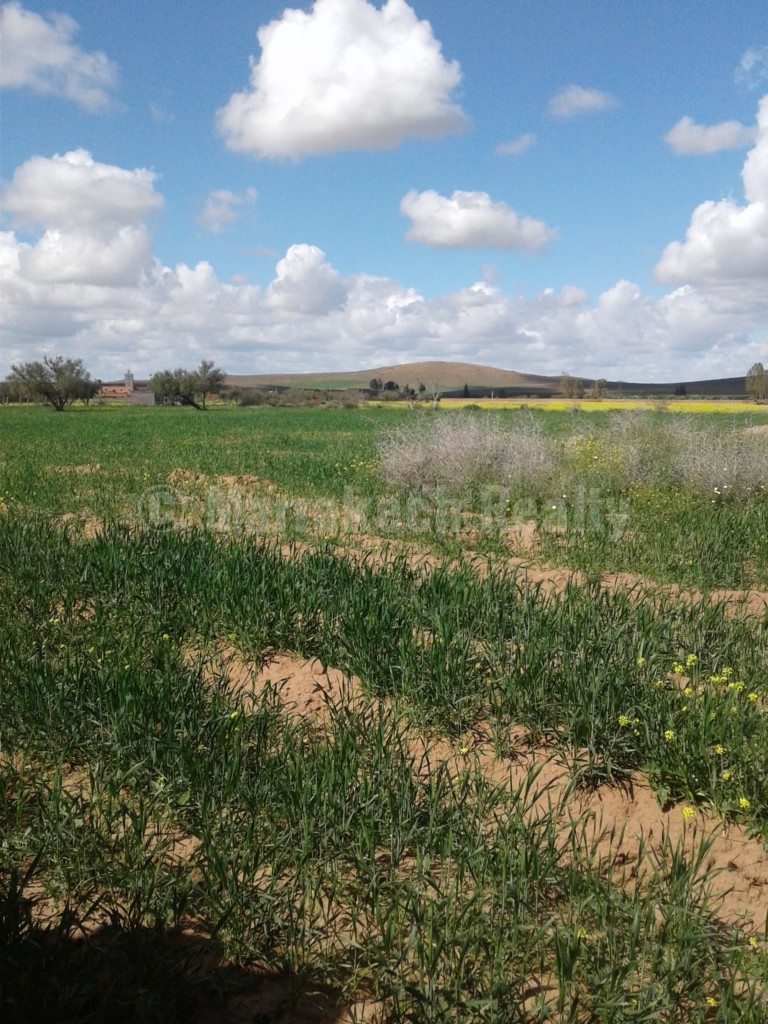 For sale 4 hectars land on the road of Fes