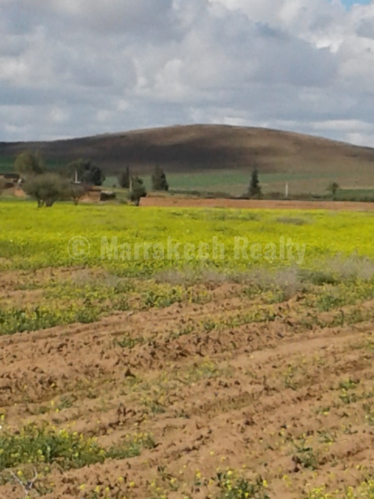For sale 4 hectars land on the road of Fes