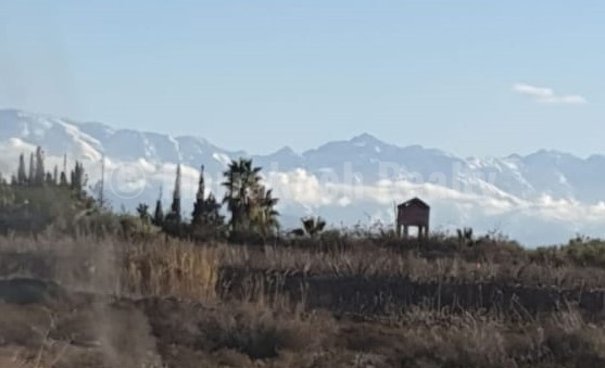 Standout land with title deeds for sale a mere 10 minutes from Marrakech