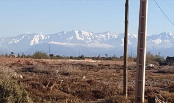 Rare terrain avec titre de propriété à vendre à 10 minutes de Marrakech