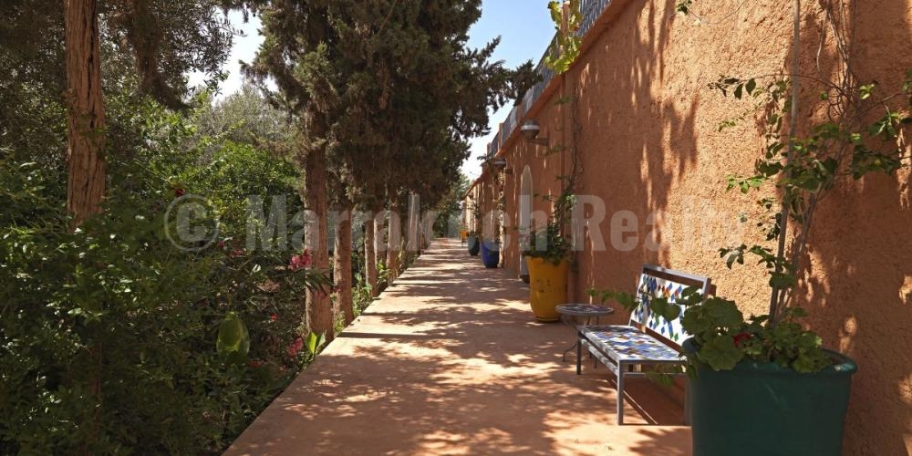 Charmante propriété nichée dans une oliveraie à vendre à Marrakech