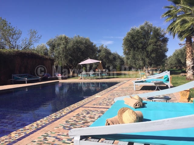 Charmante propriété nichée dans une oliveraie à vendre à Marrakech