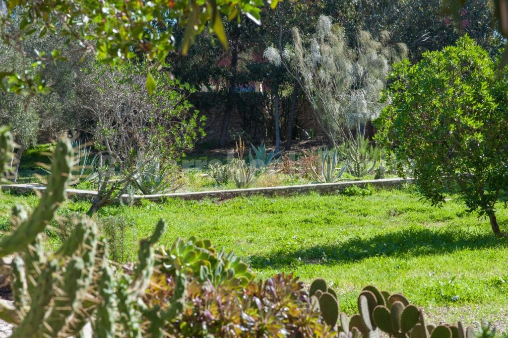 Charmante maison moderne de style beldi à seulement 8 km d’Essaouira