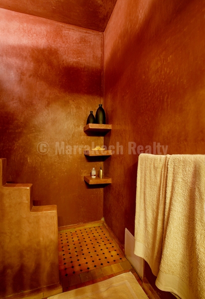 Pretty 4 bedroom Riad with seaviews for sale in the Medina