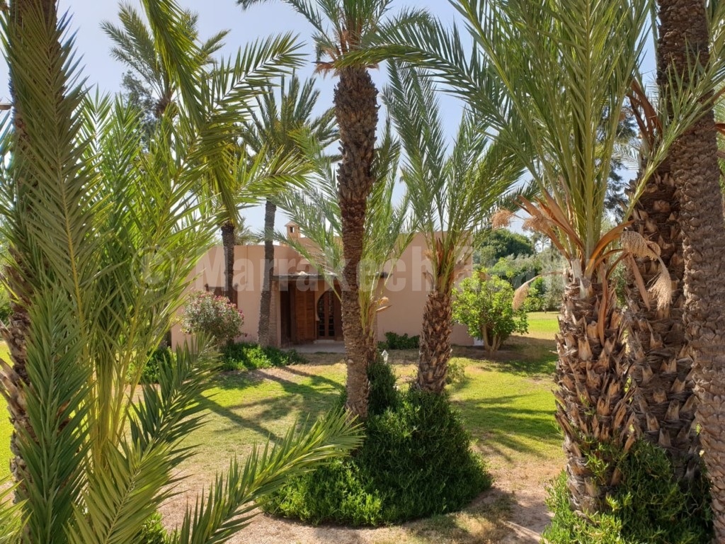 Sweet 3 bedroom villa for rent in a gated domain of the Palmeraie