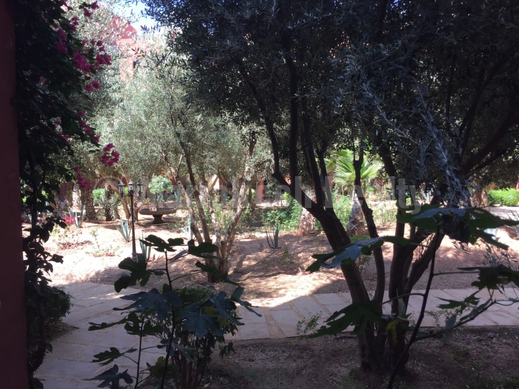 For rent close to Marrakech: 2 bedroom appartment with roof-terrace