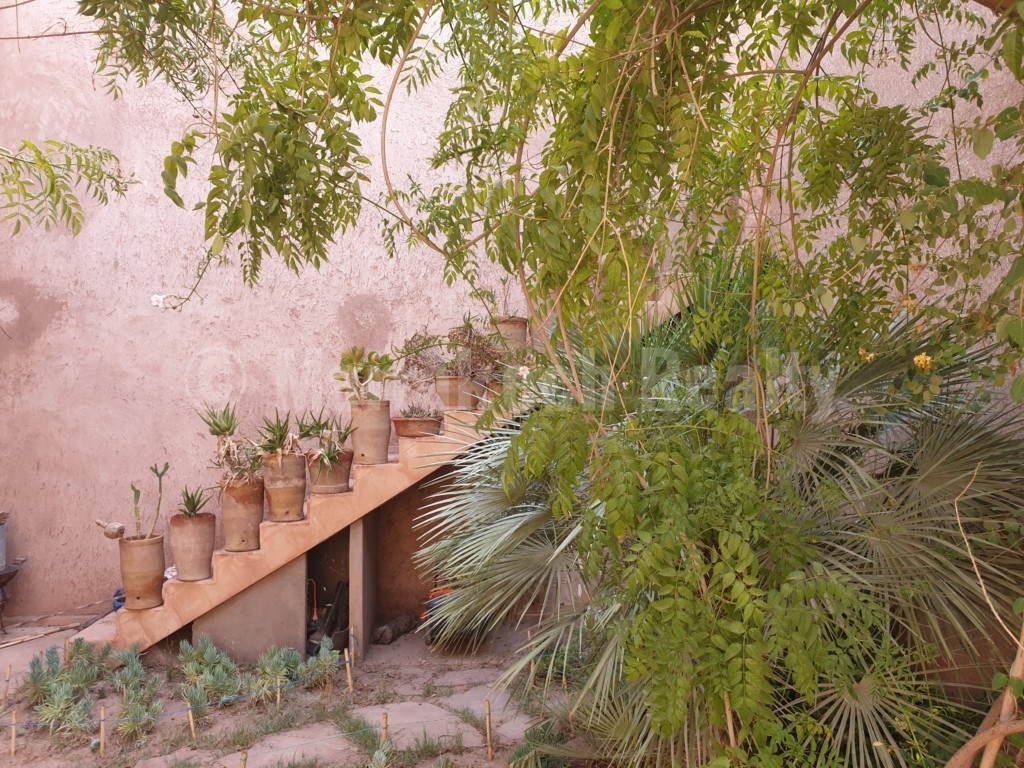 Berber style eco property on a 3.3 hectare olive grove just listed