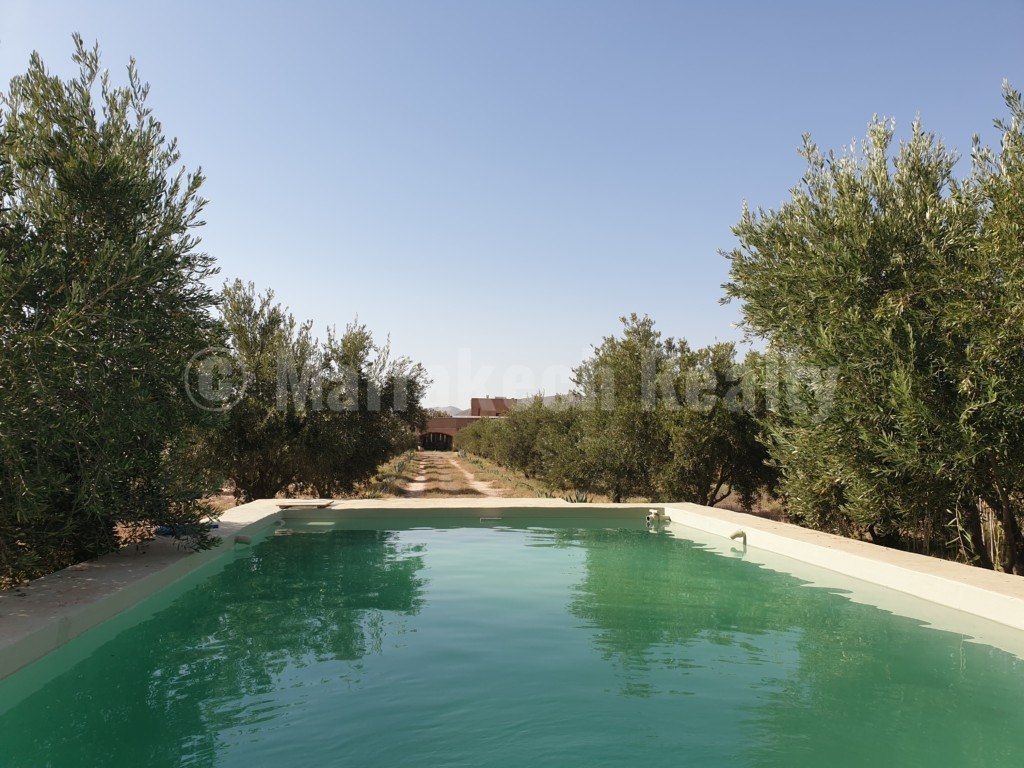 Berber style eco property on a 3.3 hectare olive grove just listed