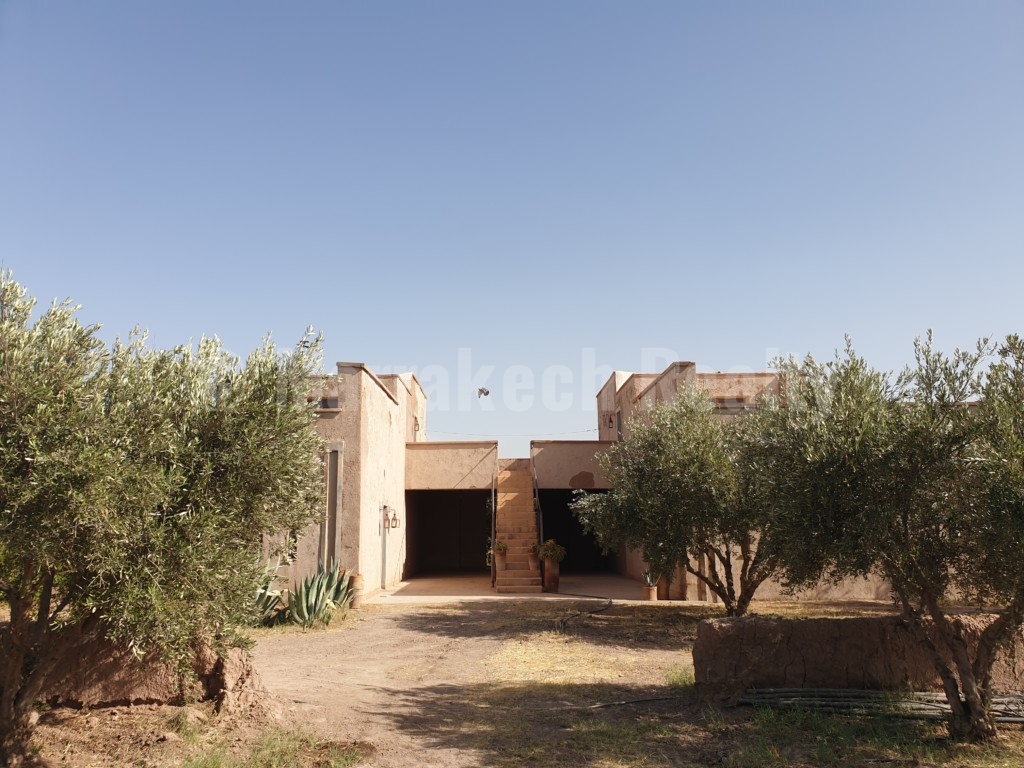 Berber style eco property on a 3.3 hectare olive grove just listed