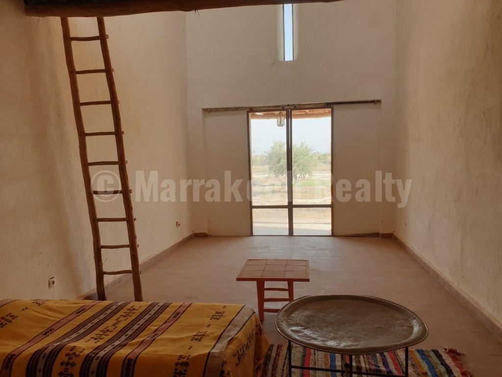 Berber style eco property on a 3.3 hectare olive grove just listed