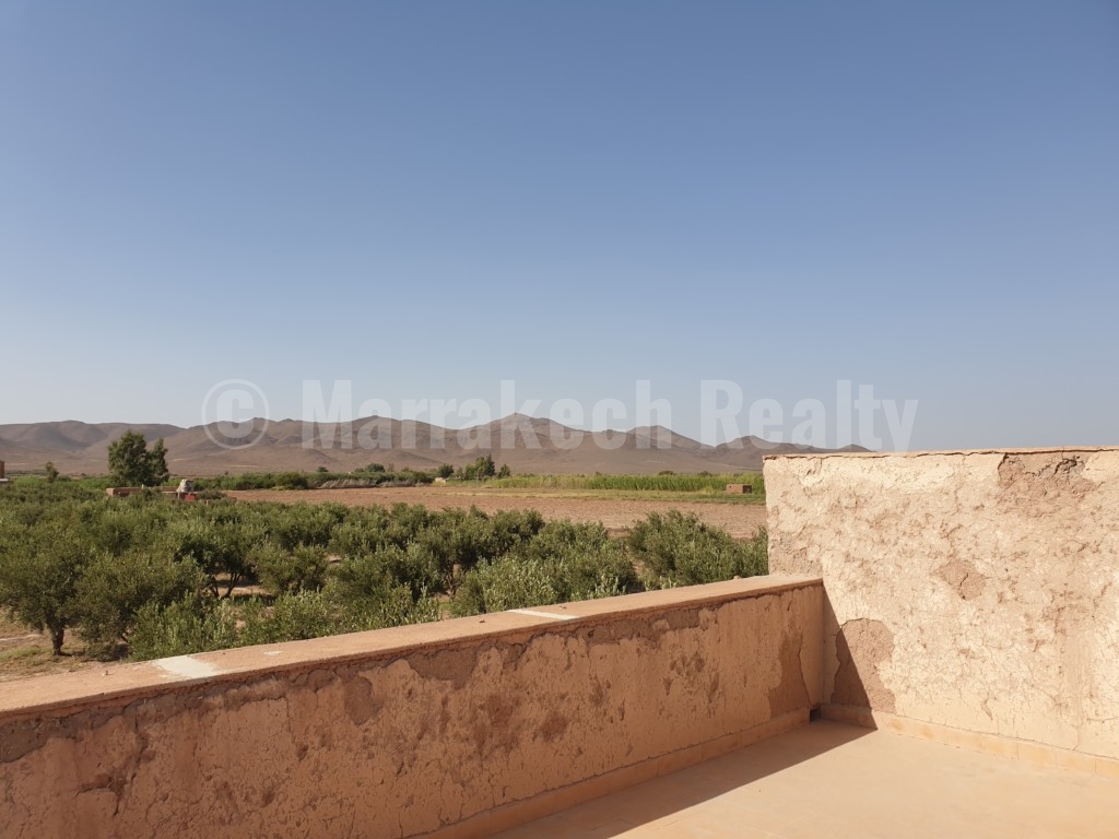 Berber style eco property on a 3.3 hectare olive grove just listed