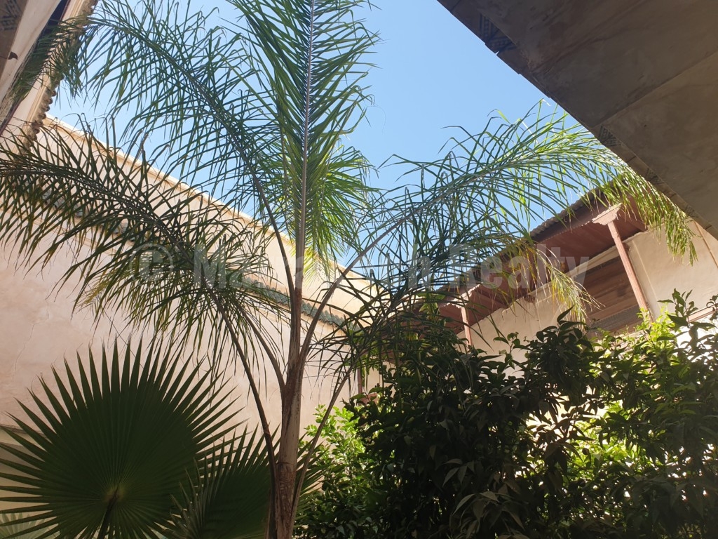 Riad to renovate with great potential and prime location