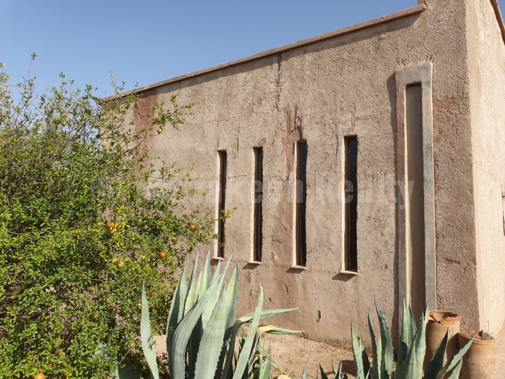 Berber style eco property on a 3.3 hectare olive grove just listed