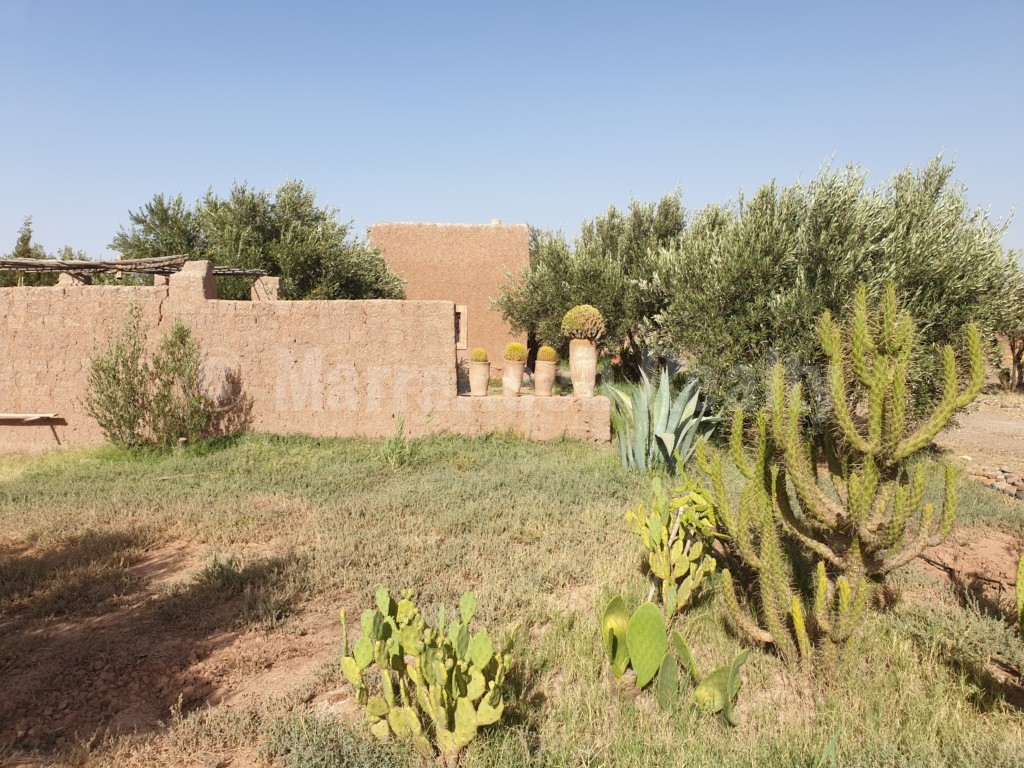 Berber style eco property on a 3.3 hectare olive grove just listed