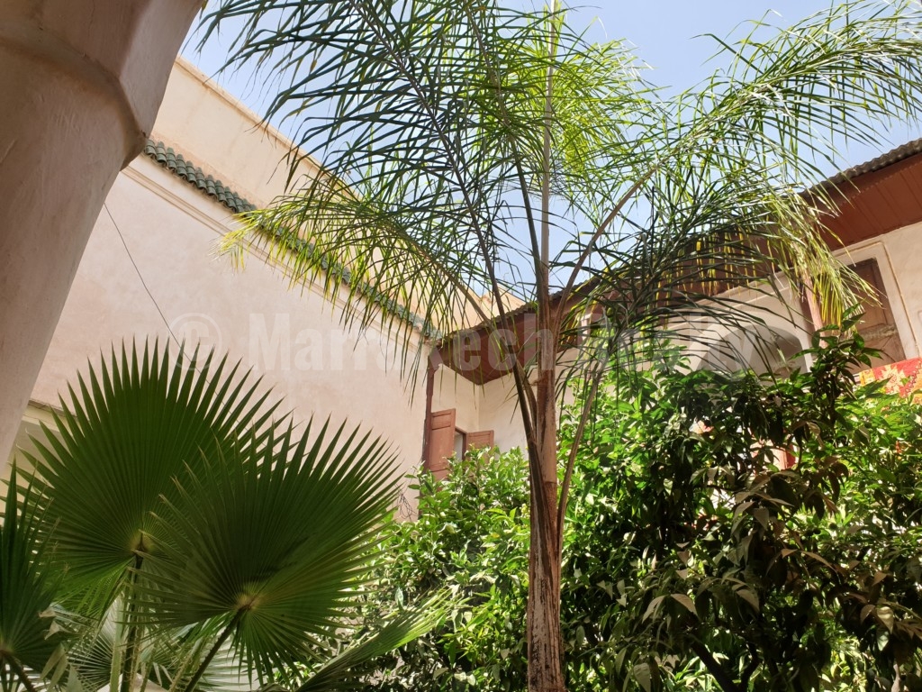 Riad to renovate with great potential and prime location