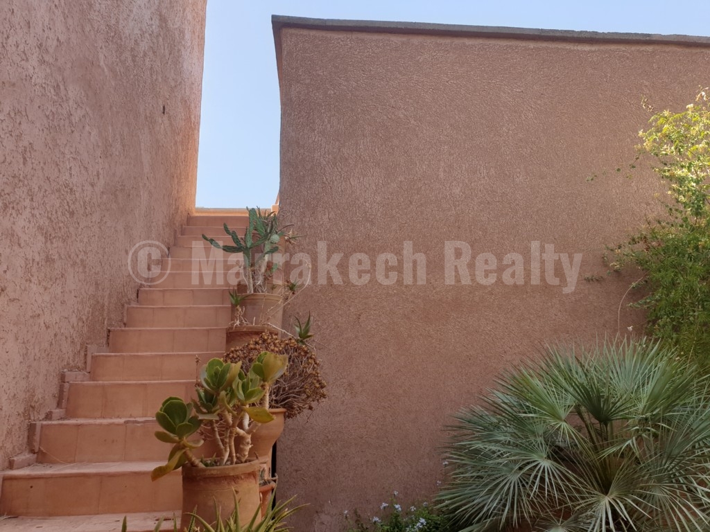 Berber style eco property on a 3.3 hectare olive grove just listed