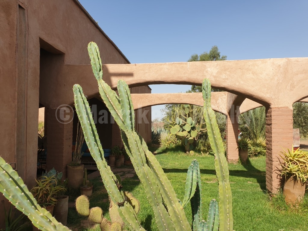 Berber style eco property on a 3.3 hectare olive grove just listed