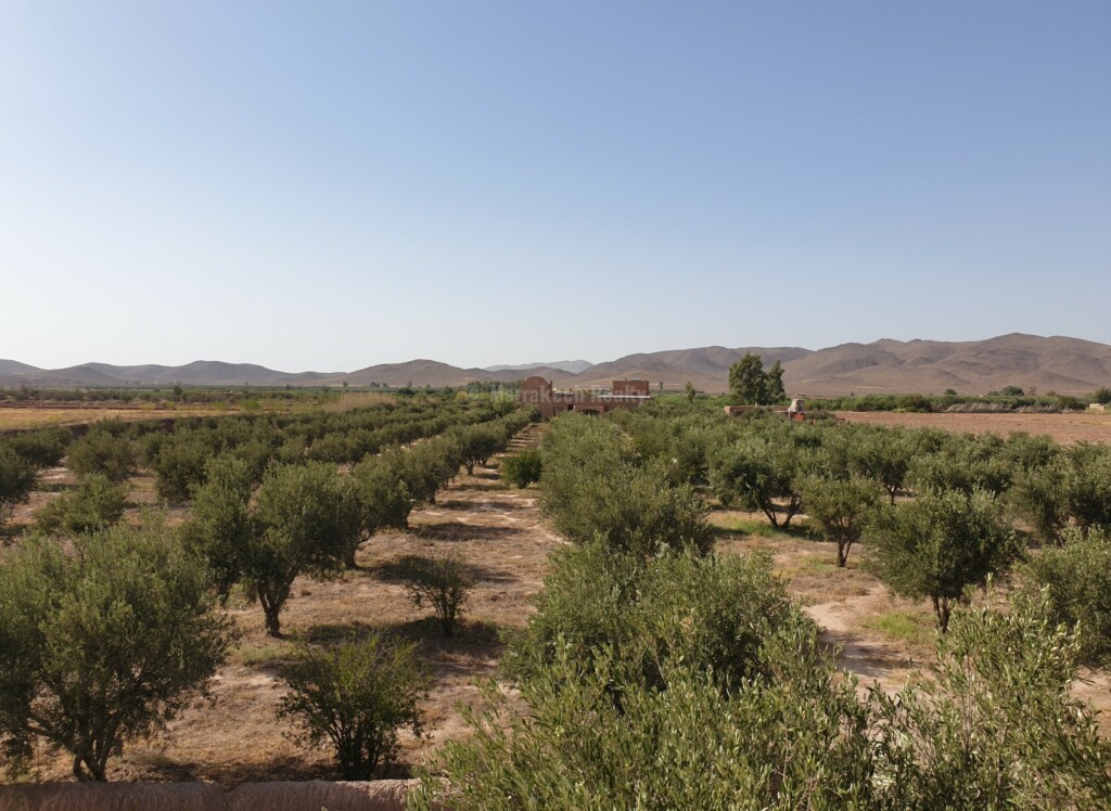 Maison de style berbère dans une oliveraie proche de Marrakech