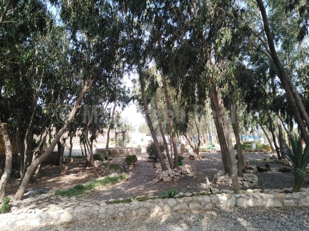 Charmante Maison d’Hôtes de 9 chambres à 8 km d’Essaouira