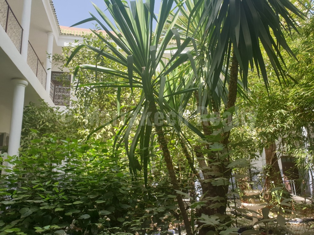 Exceptionnel vaste Riad titré à rénover avec accès voiture direct : superbe potentiel