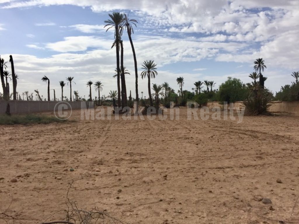 Terrain en ventre en Palmeraie de Marrakech