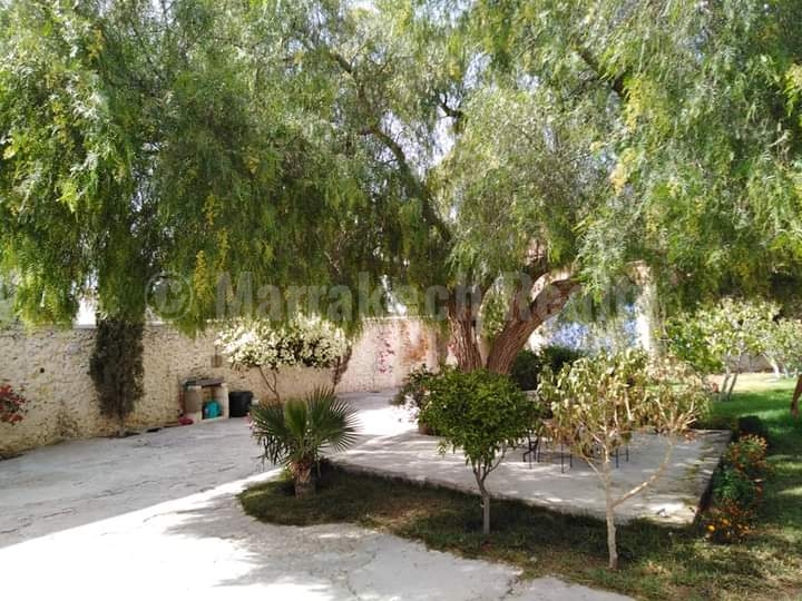 Charmante maison à vendre à 8 km d’Essaouira
