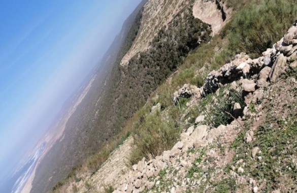 Rare terrain de 11 hectares à vendre au nord d’Essaouira