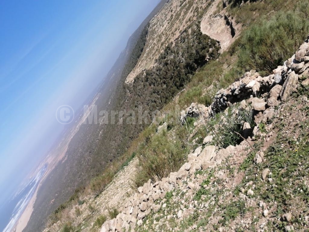 Rare terrain de 11 hectares à vendre au nord d’Essaouira