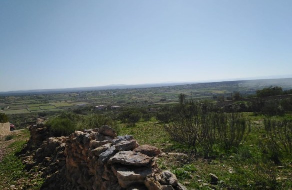 Superbe terrain de 3 hectares à vendre au nord d’Essaouira