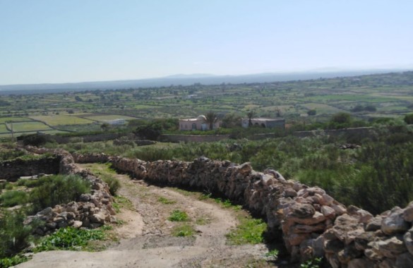 Rare 1.5 hectares plot for sale north of Essaouira
