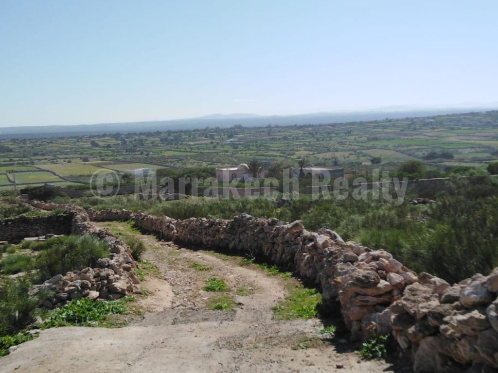 Beau terrain de 1.5 hectares à vendre au nord d’Essaouira