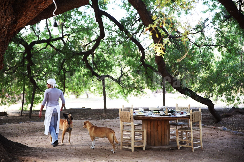 Propriété de charme à louer en Palmeraie de Marrakech