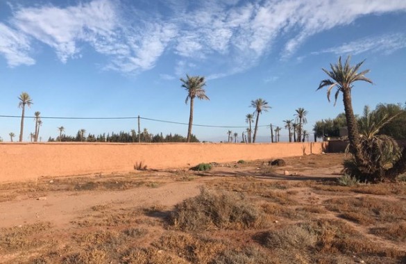 Superb titled land for sale in the palm grove of Marrakech