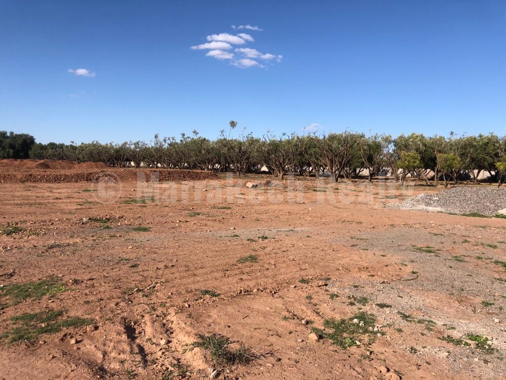 Large titled plot close to the Marrakech major golf courses