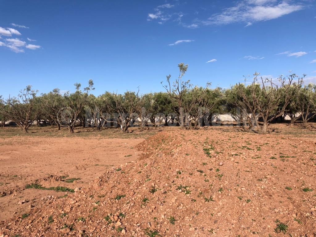 Large titled plot close to the Marrakech major golf courses