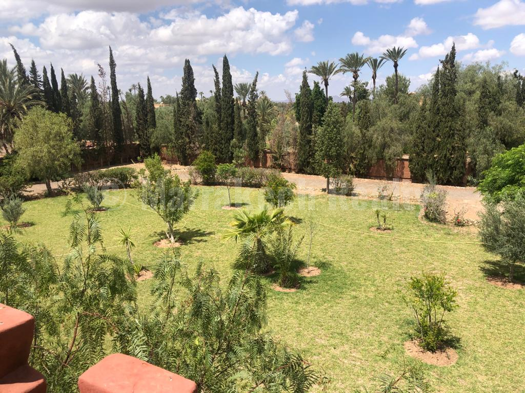 Nice riad-villa for rent in the palm grove of Marrakech