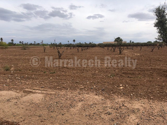 Sizeable titled plot for sale in La Palmeraie (palm grove) of Marrakech