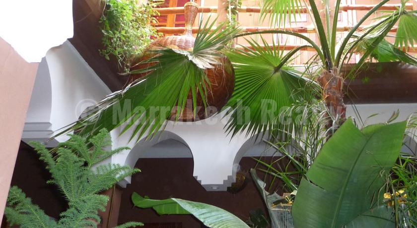 Sweet 6 bedroom Guest-House Riad with prime location