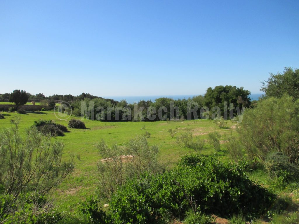 Rare propriété avec vue exceptionnelle sur l’océan