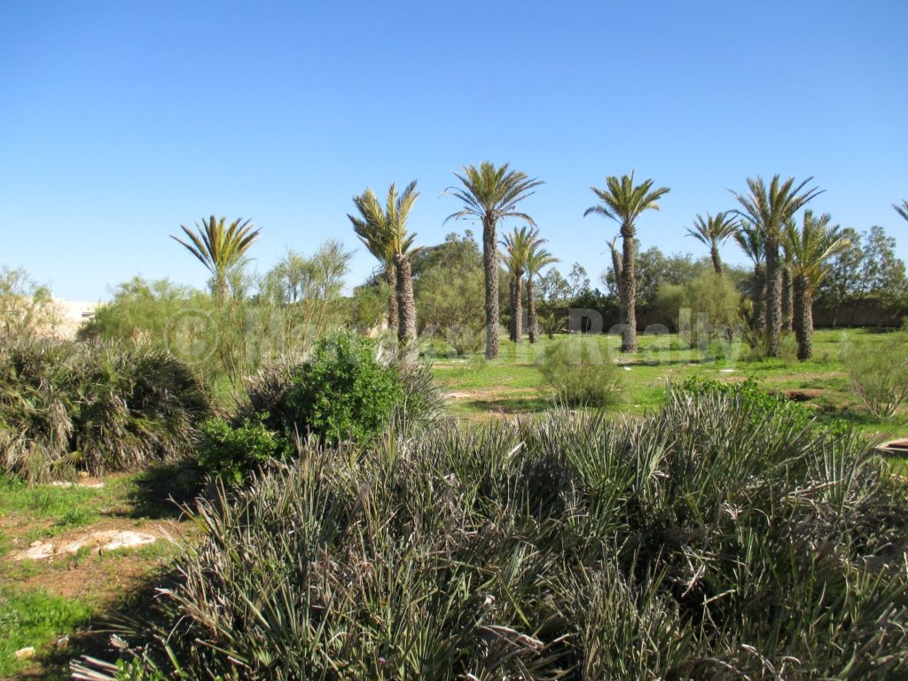 Rare propriété avec vue exceptionnelle sur l’océan