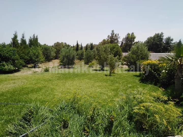Charmante maison de campagne à louer à 8 km d’Essaouira