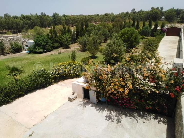 Charmante maison de campagne à louer à 8 km d’Essaouira