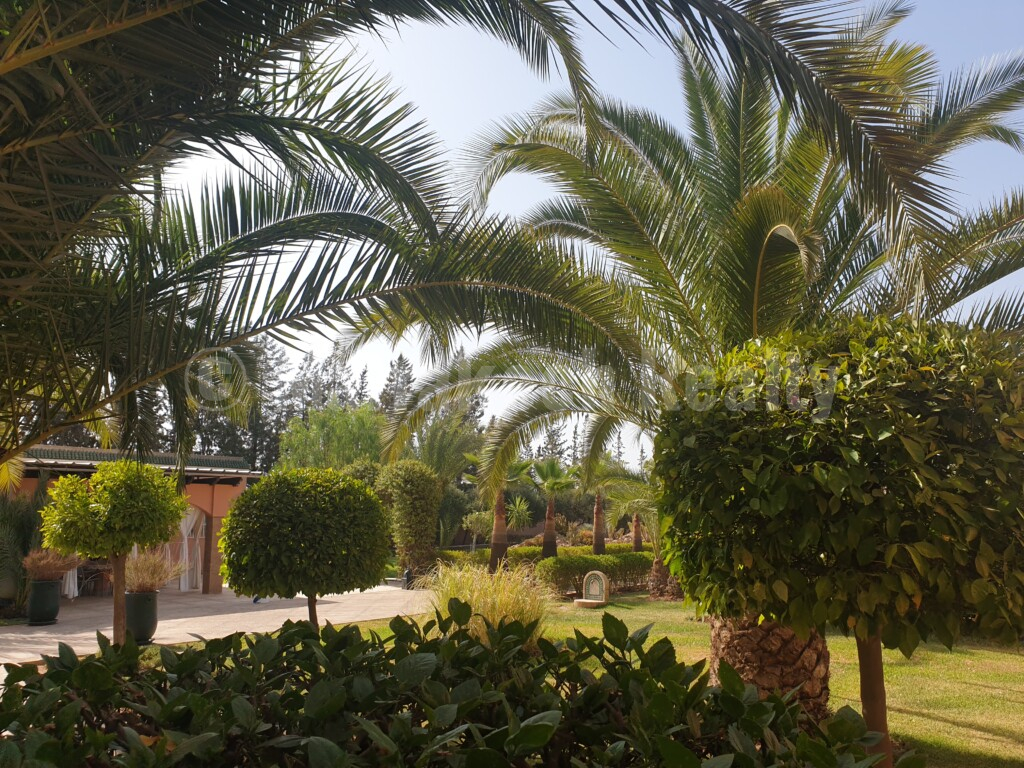 Traditional property on 1 hectare for sale close to Marrakech