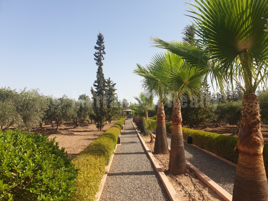 Traditional property on 1 hectare for sale close to Marrakech