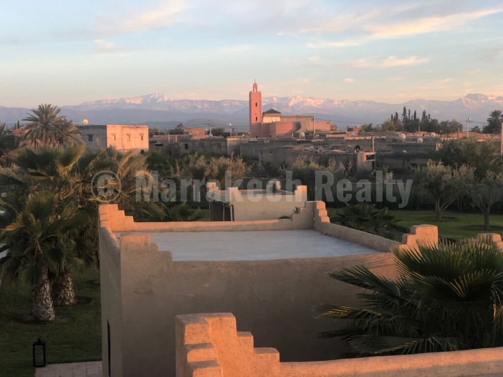 Belle villa de 4-5 chambres sur 1 hectare : superbe opportunité !