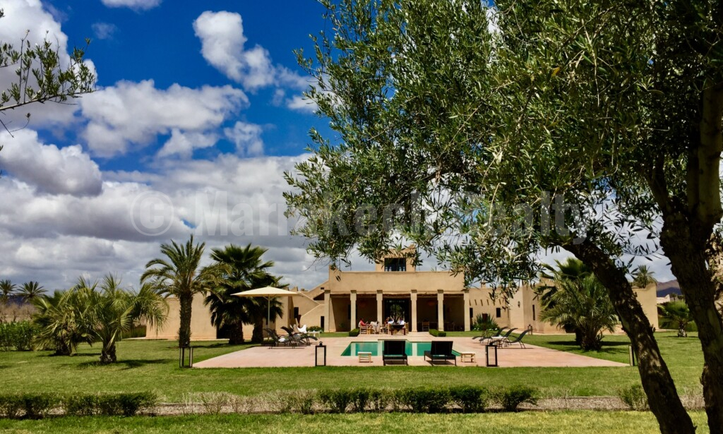 Belle villa de 4-5 chambres sur 1 hectare : superbe opportunité !