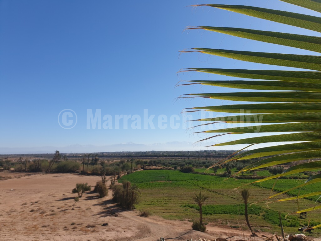 Lovely 4 bedroom Riad in a village close to Marrakech