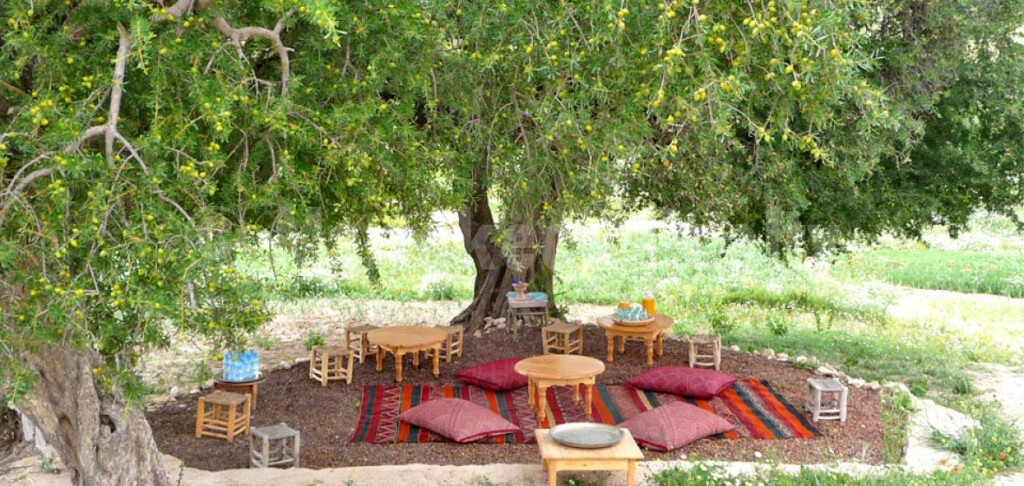 Lovely renovated 4 bedroom farm for sale south of Essaouira